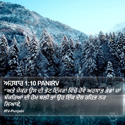 ਅਹਬਾਰ 1:10 PANIRV Bible Verse Image