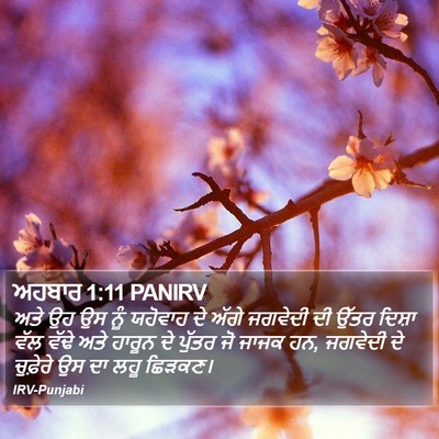 ਅਹਬਾਰ 1:11 PANIRV Bible Verse Image