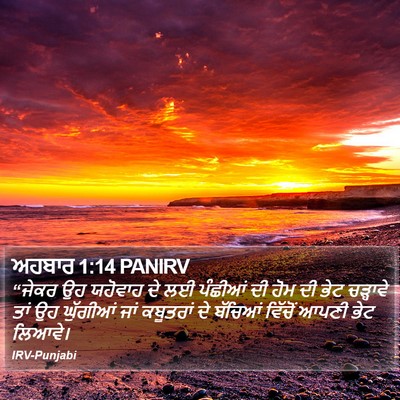 ਅਹਬਾਰ 1:14 PANIRV Bible Verse Image