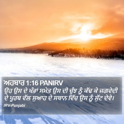 ਅਹਬਾਰ 1:16 PANIRV Bible Verse Image