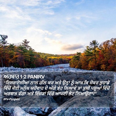 ਅਹਬਾਰ 1:2 PANIRV Bible Verse Image