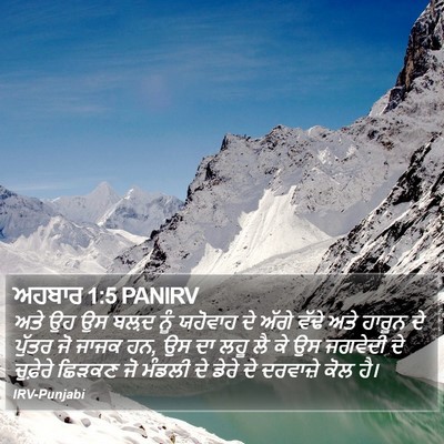 ਅਹਬਾਰ 1:5 PANIRV Bible Verse Image