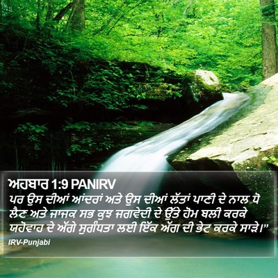ਅਹਬਾਰ 1:9 PANIRV Bible Verse Image
