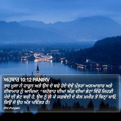 ਅਹਬਾਰ 10:12 PANIRV Bible Verse Image