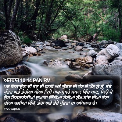 ਅਹਬਾਰ 10:14 PANIRV Bible Verse Image