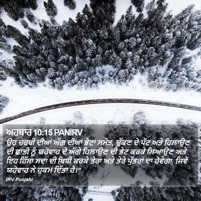 ਅਹਬਾਰ 10:15 PANIRV Bible Verse Image