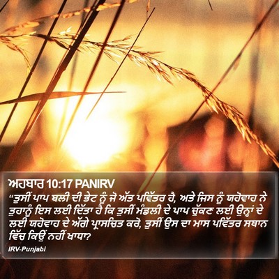 ਅਹਬਾਰ 10:17 PANIRV Bible Verse Image