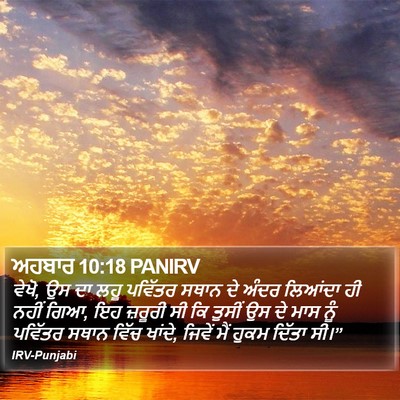 ਅਹਬਾਰ 10:18 PANIRV Bible Verse Image