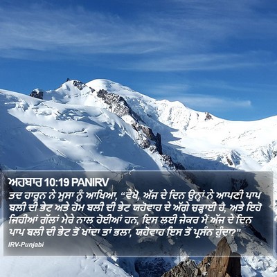 ਅਹਬਾਰ 10:19 PANIRV Bible Verse Image