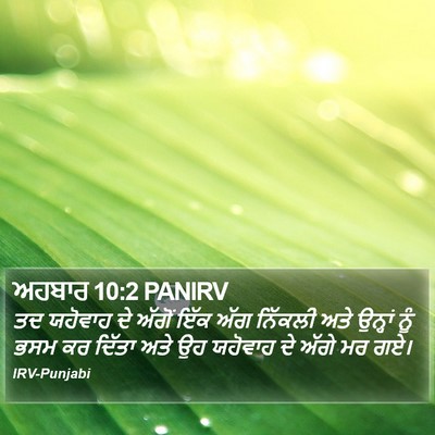 ਅਹਬਾਰ 10:2 PANIRV Bible Verse Image