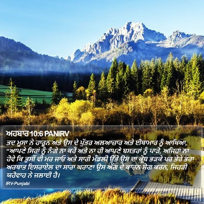 ਅਹਬਾਰ 10:6 PANIRV Bible Verse Image