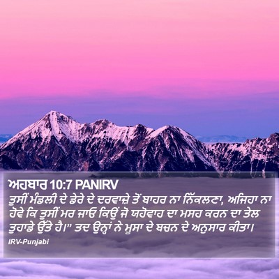 ਅਹਬਾਰ 10:7 PANIRV Bible Verse Image