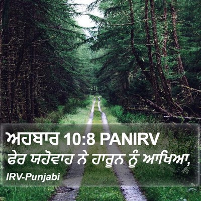ਅਹਬਾਰ 10:8 PANIRV Bible Verse Image