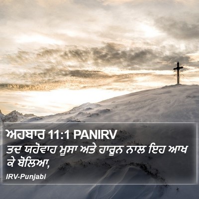 ਅਹਬਾਰ 11:1 PANIRV Bible Verse Image