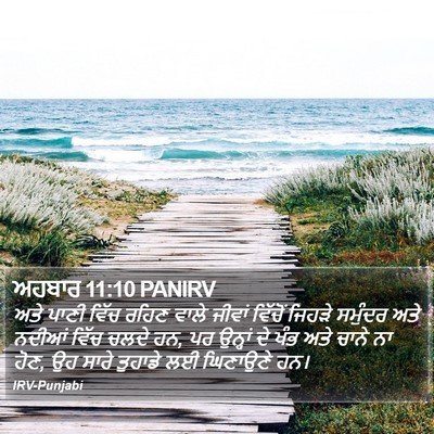 ਅਹਬਾਰ 11:10 PANIRV Bible Verse Image