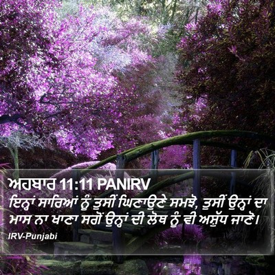 ਅਹਬਾਰ 11:11 PANIRV Bible Verse Image
