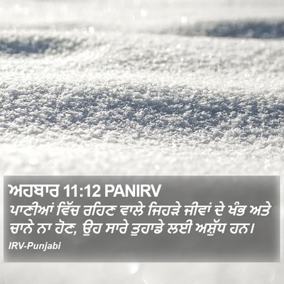 ਅਹਬਾਰ 11:12 PANIRV Bible Verse Image