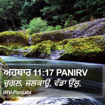ਅਹਬਾਰ 11:17 PANIRV Bible Verse Image