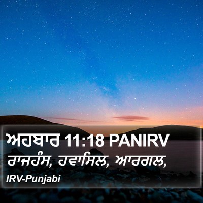ਅਹਬਾਰ 11:18 PANIRV Bible Verse Image