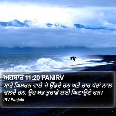 ਅਹਬਾਰ 11:20 PANIRV Bible Verse Image