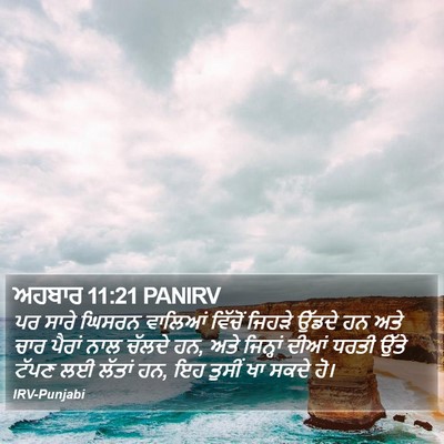 ਅਹਬਾਰ 11:21 PANIRV Bible Verse Image