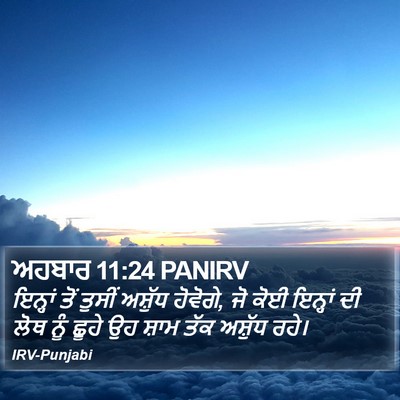 ਅਹਬਾਰ 11:24 PANIRV Bible Verse Image