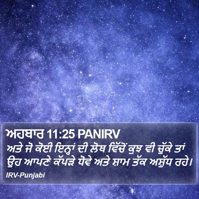 ਅਹਬਾਰ 11:25 PANIRV Bible Verse Image
