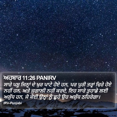 ਅਹਬਾਰ 11:26 PANIRV Bible Verse Image