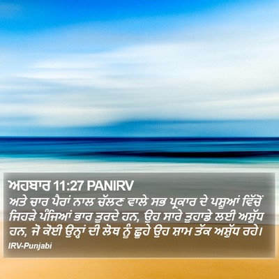 ਅਹਬਾਰ 11:27 PANIRV Bible Verse Image