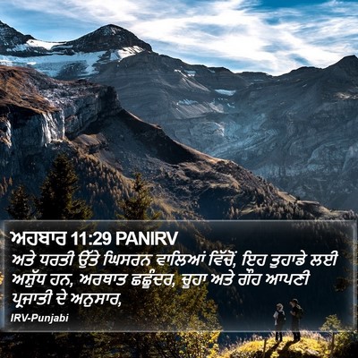 ਅਹਬਾਰ 11:29 PANIRV Bible Verse Image