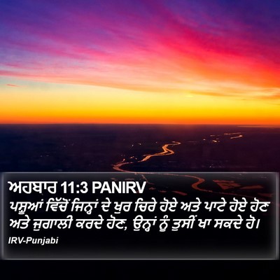 ਅਹਬਾਰ 11:3 PANIRV Bible Verse Image