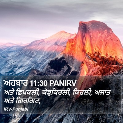 ਅਹਬਾਰ 11:30 PANIRV Bible Verse Image