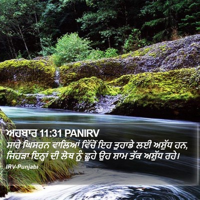 ਅਹਬਾਰ 11:31 PANIRV Bible Verse Image