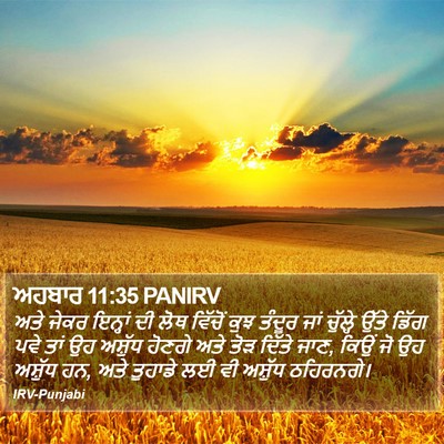 ਅਹਬਾਰ 11:35 PANIRV Bible Verse Image