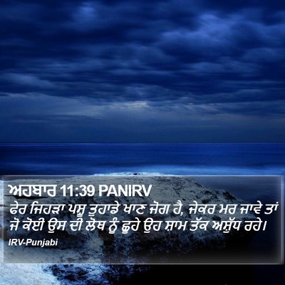ਅਹਬਾਰ 11:39 PANIRV Bible Verse Image