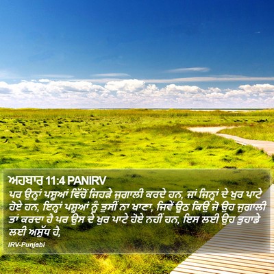 ਅਹਬਾਰ 11:4 PANIRV Bible Verse Image