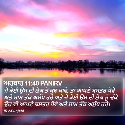 ਅਹਬਾਰ 11:40 PANIRV Bible Verse Image