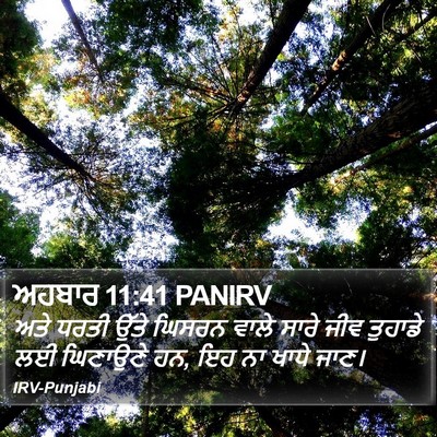 ਅਹਬਾਰ 11:41 PANIRV Bible Verse Image