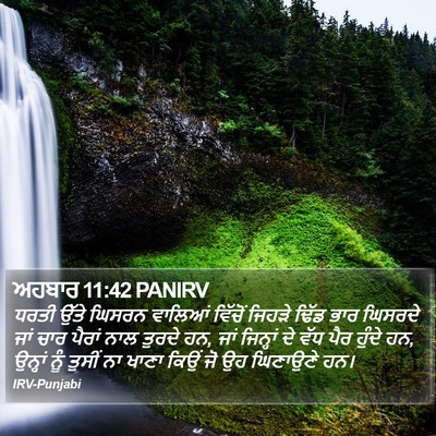 ਅਹਬਾਰ 11:42 PANIRV Bible Verse Image