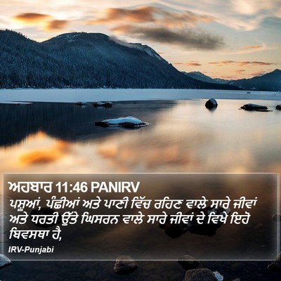 ਅਹਬਾਰ 11:46 PANIRV Bible Verse Image