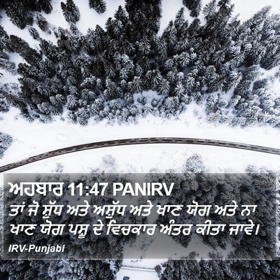 ਅਹਬਾਰ 11:47 PANIRV Bible Verse Image