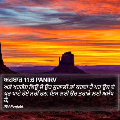 ਅਹਬਾਰ 11:6 PANIRV Bible Verse Image