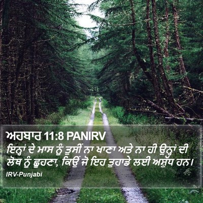 ਅਹਬਾਰ 11:8 PANIRV Bible Verse Image