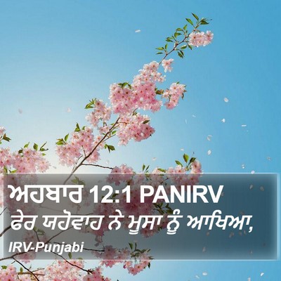 ਅਹਬਾਰ 12:1 PANIRV Bible Verse Image