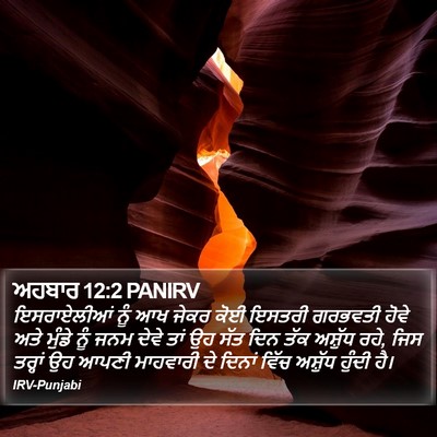 ਅਹਬਾਰ 12:2 PANIRV Bible Verse Image