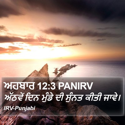 ਅਹਬਾਰ 12:3 PANIRV Bible Verse Image