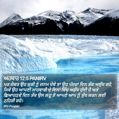 ਅਹਬਾਰ 12:5 PANIRV Bible Verse Image