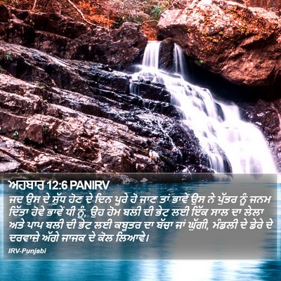 ਅਹਬਾਰ 12:6 PANIRV Bible Verse Image