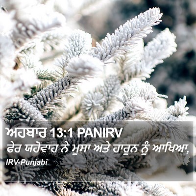 ਅਹਬਾਰ 13:1 PANIRV Bible Verse Image