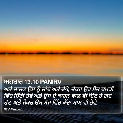 ਅਹਬਾਰ 13:10 PANIRV Bible Verse Image
